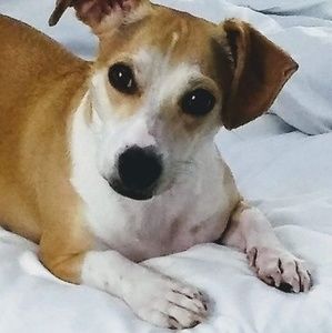 Meet your Posher, Connie